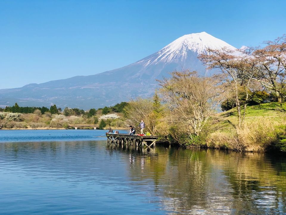 Gunung Fuji di atas danau dengan dermaga kecil dan pepohonan musim semi